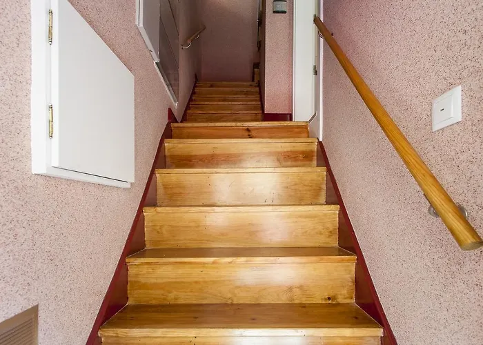 Joivy Sao Bento Delight